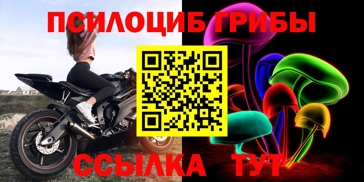 Галлюциногенные грибы Cubensis Дзержинск