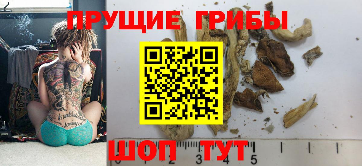 Псилоцибиновые грибы мухоморы  Псилоцибиновые грибы прущие грибы  Дзержинск  Вход с VPN 