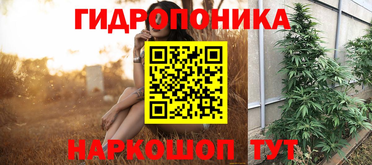 Бошки марихуана марихуана  Каннабис Amnesia  Дзержинск  Вход с VPN 